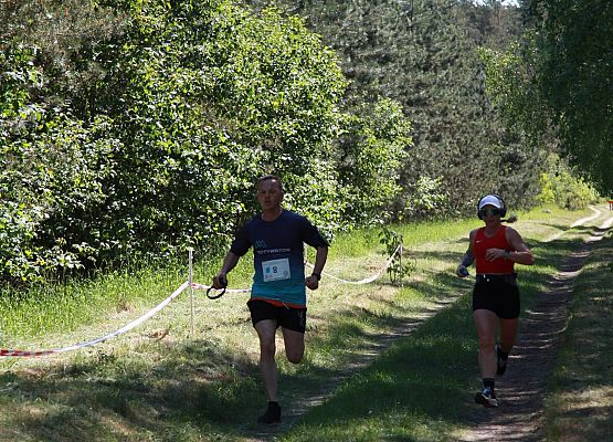 Grafika 249: "Rodzinny Bieg Leśnika" na 8 kilometrów przy Szkole Podstawowej w Leśnicach