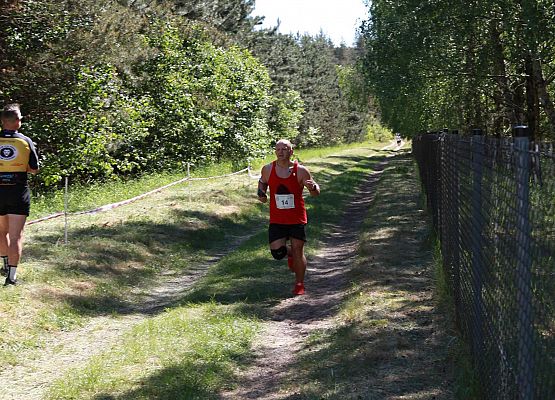 Grafika 256: "Rodzinny Bieg Leśnika" na 8 kilometrów przy Szkole Podstawowej w Leśnicach