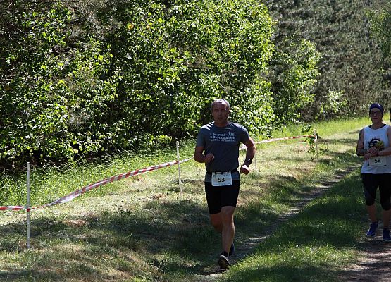 Grafika 261: "Rodzinny Bieg Leśnika" na 8 kilometrów przy Szkole Podstawowej w Leśnicach