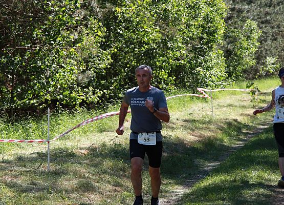 Grafika 264: "Rodzinny Bieg Leśnika" na 8 kilometrów przy Szkole Podstawowej w Leśnicach