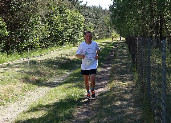 Grafika 269: "Rodzinny Bieg Leśnika" na 8 kilometrów przy Szkole Podstawowej w Leśnicach