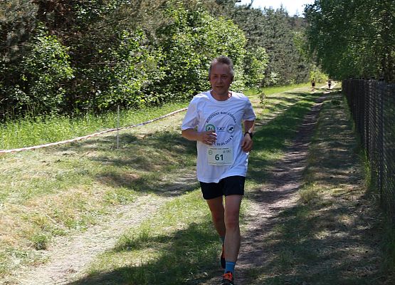 Grafika 272: "Rodzinny Bieg Leśnika" na 8 kilometrów przy Szkole Podstawowej w Leśnicach