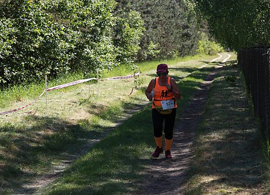 Grafika 297: "Rodzinny Bieg Leśnika" na 8 kilometrów przy Szkole Podstawowej w Leśnicach