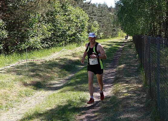 Grafika 309: "Rodzinny Bieg Leśnika" na 8 kilometrów przy Szkole Podstawowej w Leśnicach
