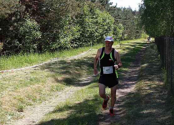 Grafika 311: "Rodzinny Bieg Leśnika" na 8 kilometrów przy Szkole Podstawowej w Leśnicach