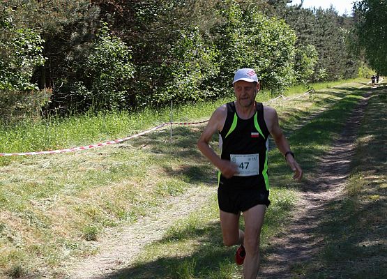 Grafika 313: "Rodzinny Bieg Leśnika" na 8 kilometrów przy Szkole Podstawowej w Leśnicach