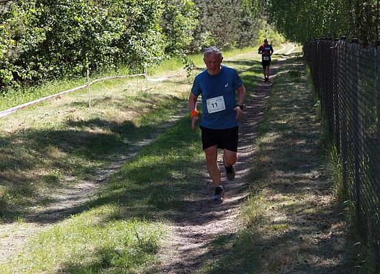 Grafika 314: "Rodzinny Bieg Leśnika" na 8 kilometrów przy Szkole Podstawowej w Leśnicach