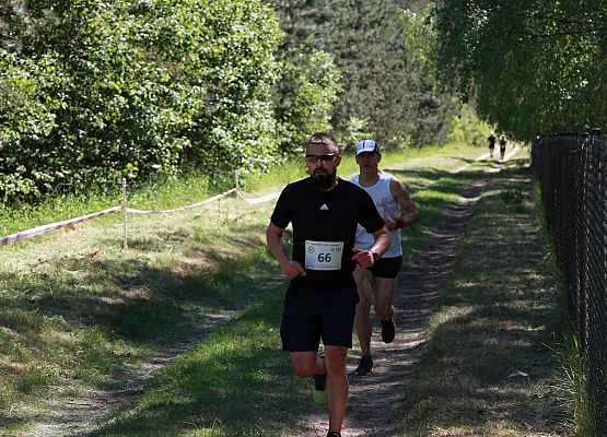 Grafika 336: "Rodzinny Bieg Leśnika" na 8 kilometrów przy Szkole Podstawowej w Leśnicach