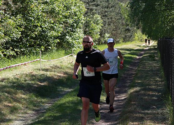 Grafika 337: "Rodzinny Bieg Leśnika" na 8 kilometrów przy Szkole Podstawowej w Leśnicach