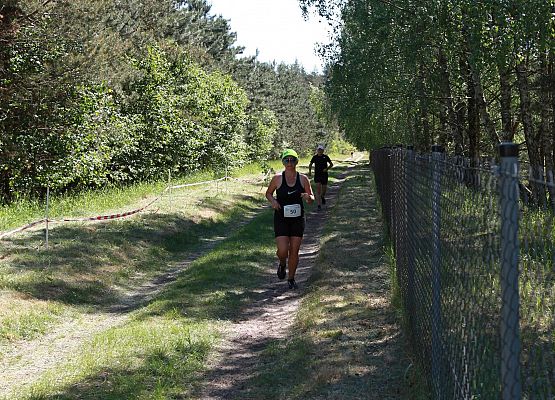 Grafika 345: "Rodzinny Bieg Leśnika" na 8 kilometrów przy Szkole Podstawowej w Leśnicach