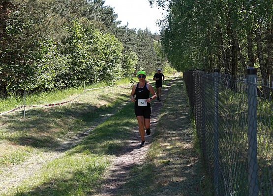 Grafika 346: "Rodzinny Bieg Leśnika" na 8 kilometrów przy Szkole Podstawowej w Leśnicach