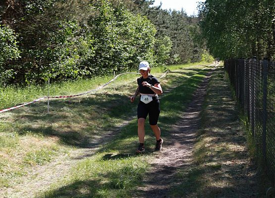 Grafika 359: "Rodzinny Bieg Leśnika" na 8 kilometrów przy Szkole Podstawowej w Leśnicach