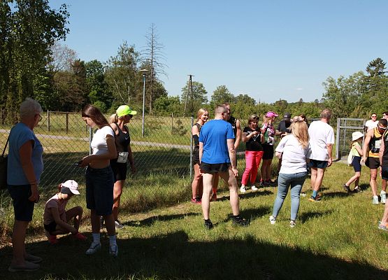 Grafika 451: "Rodzinny Bieg Leśnika" na 8 kilometrów przy Szkole Podstawowej w Leśnicach