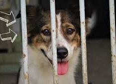 Grafika 1: EKOKONKURS - ZBIERAMY BUTELKI PET I PUSZKI