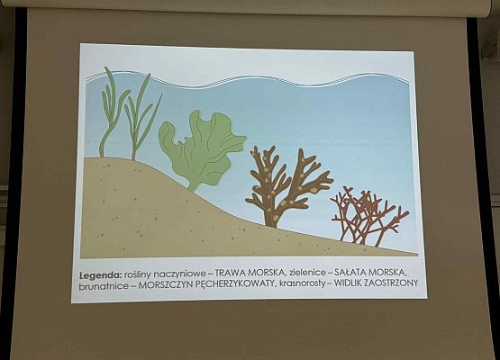 Wycieczka w nagrodę za wyniki w nauce grafika