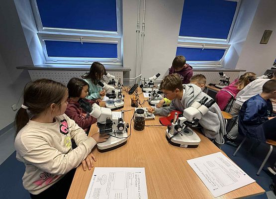 Wycieczka w nagrodę za wyniki w nauce grafika