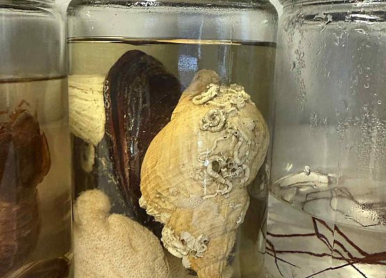 Wycieczka w nagrodę za wyniki w nauce grafika