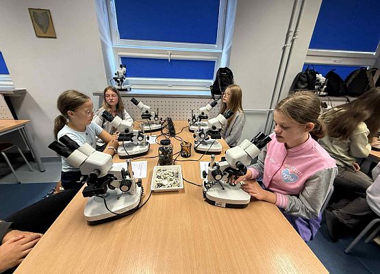 Wycieczka w nagrodę za wyniki w nauce grafika