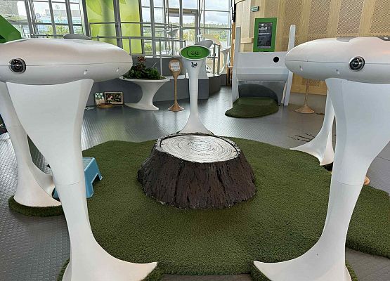 Wycieczka w nagrodę za wyniki w nauce grafika