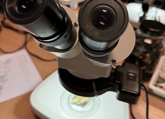 Wycieczka w nagrodę za wyniki w nauce grafika