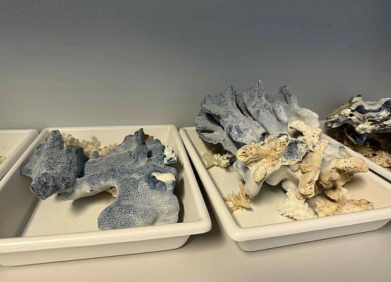 Wycieczka w nagrodę za wyniki w nauce grafika