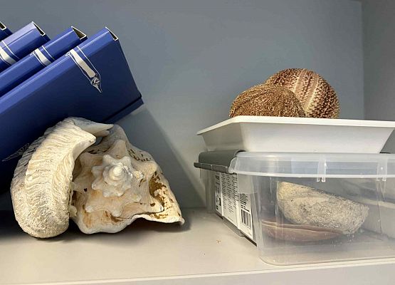 Wycieczka w nagrodę za wyniki w nauce grafika