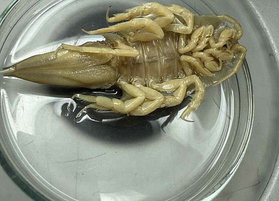 Wycieczka w nagrodę za wyniki w nauce grafika