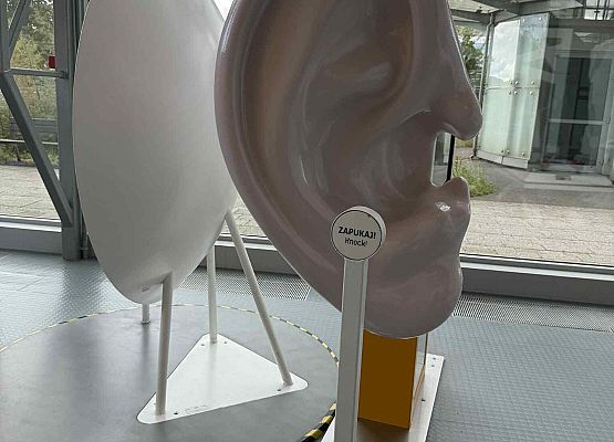 Wycieczka w nagrodę za wyniki w nauce grafika