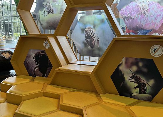 Wycieczka w nagrodę za wyniki w nauce grafika