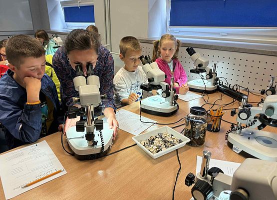 Wycieczka w nagrodę za wyniki w nauce grafika