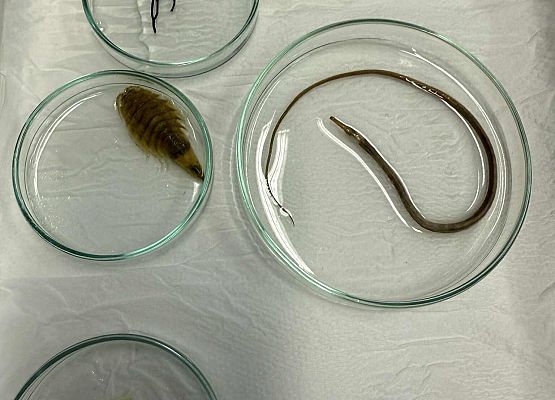 Wycieczka w nagrodę za wyniki w nauce grafika