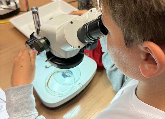 Wycieczka w nagrodę za wyniki w nauce grafika