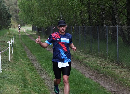 Grafika 7: Bieg Leśnika