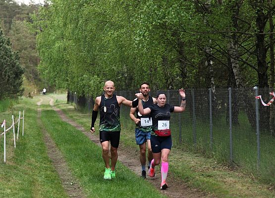 Grafika 12: Bieg Leśnika