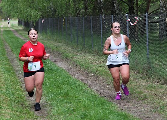 Grafika 19: Bieg Leśnika