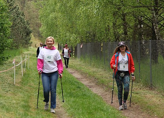 Grafika 35: Bieg Leśnika