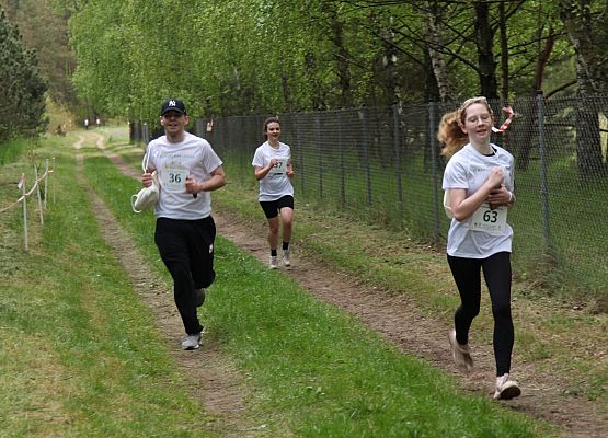 Grafika 36: Bieg Leśnika