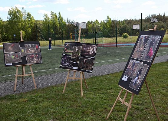 Grafika 42: Bieg Leśnika