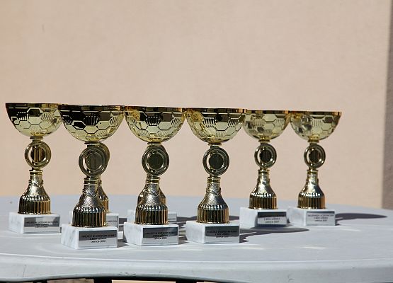 Grafika 59: Bieg Leśnika