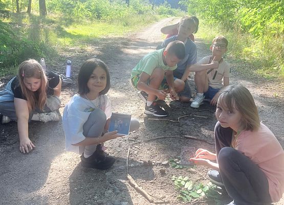 Grafika 7: Leśne medytacje