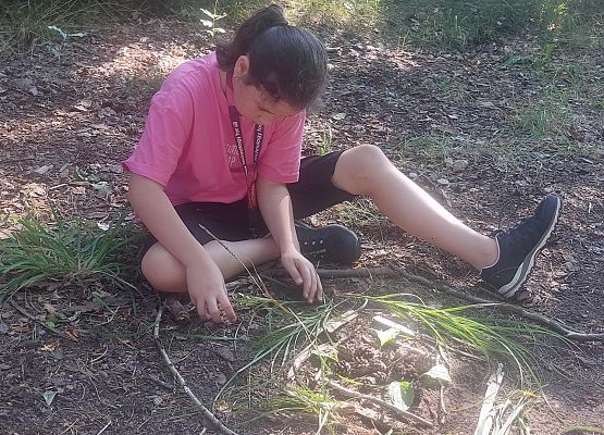 Grafika 1: Leśne medytacje