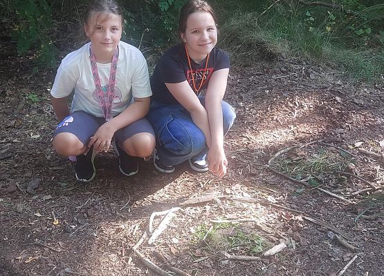 Grafika 2: Leśne medytacje