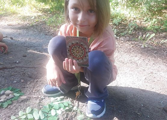 Grafika 6: Leśne medytacje