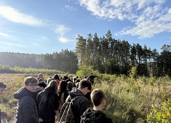 Grafika 4: Barwy jesieni