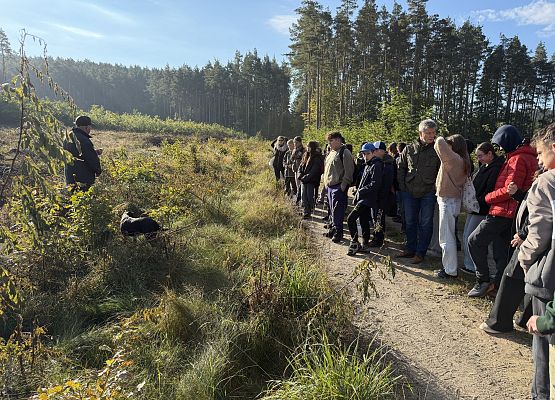 Grafika 2: Barwy jesieni