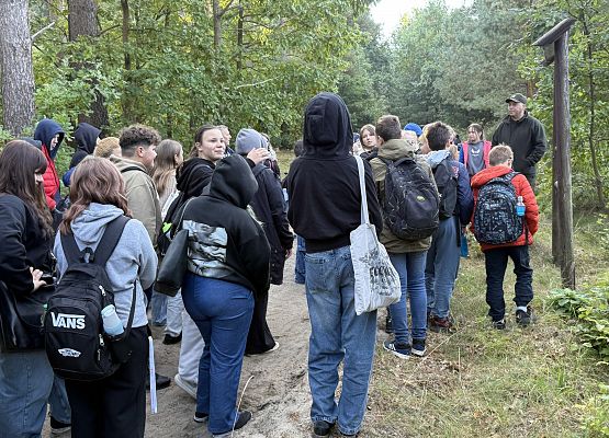 Grafika 3: Barwy jesieni