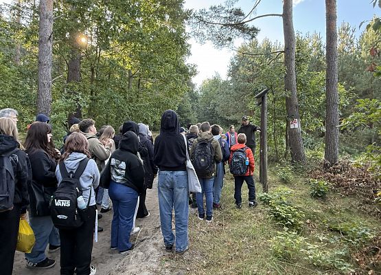 Grafika 5: Barwy jesieni