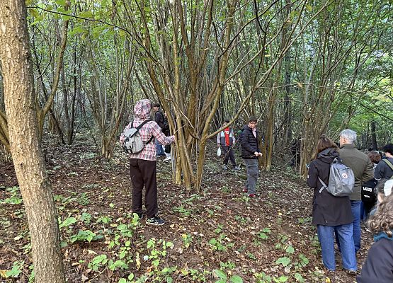 Grafika 6: Barwy jesieni