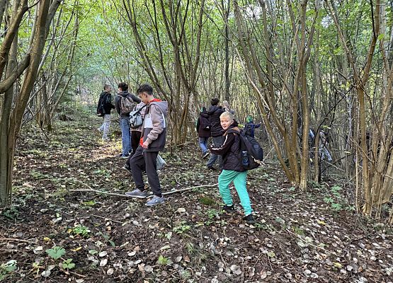 Grafika 7: Barwy jesieni