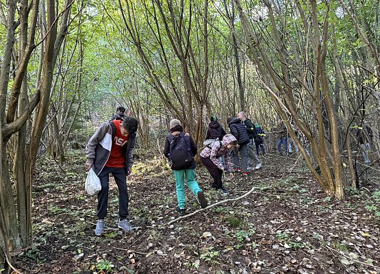 Grafika 8: Barwy jesieni